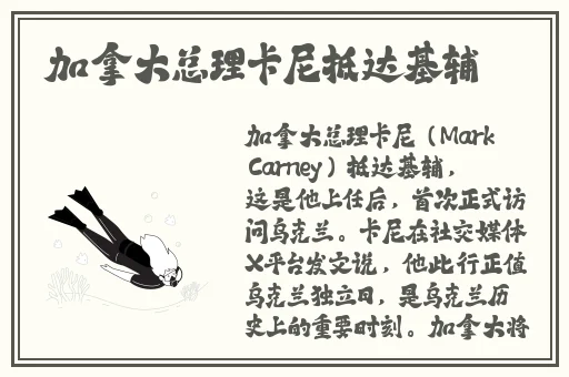 天天人体